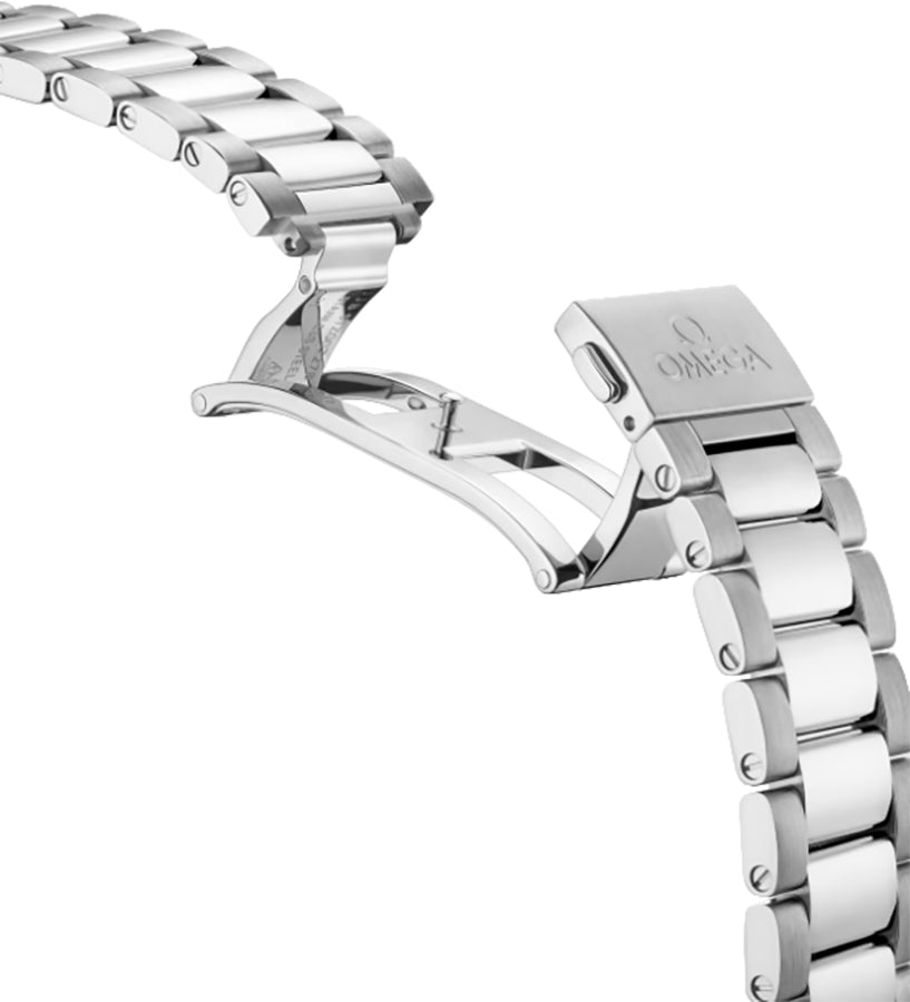 Omega Seamaster Aqua Terra Stainless Steel Men's Watch 220.10.41.21.03.005