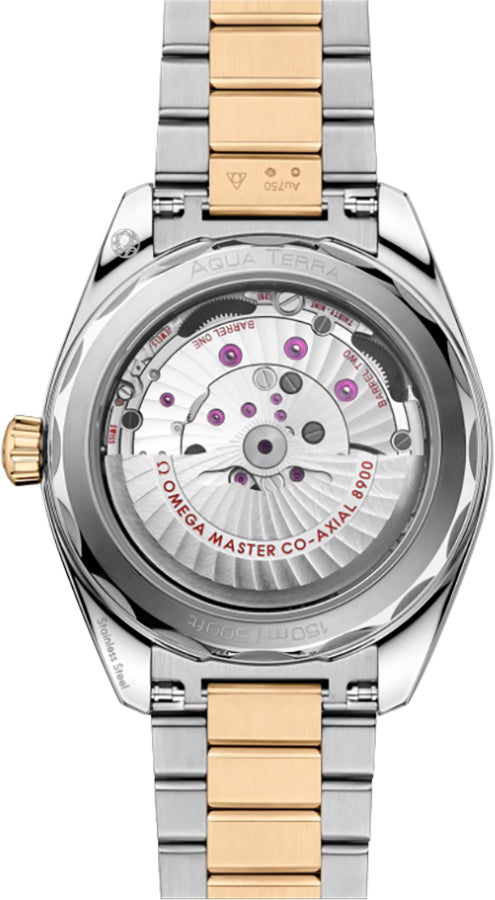 Omega Seamaster Aqua Terra Yellow Gold & Steel Men's Watch 220.20.41.21.01.001