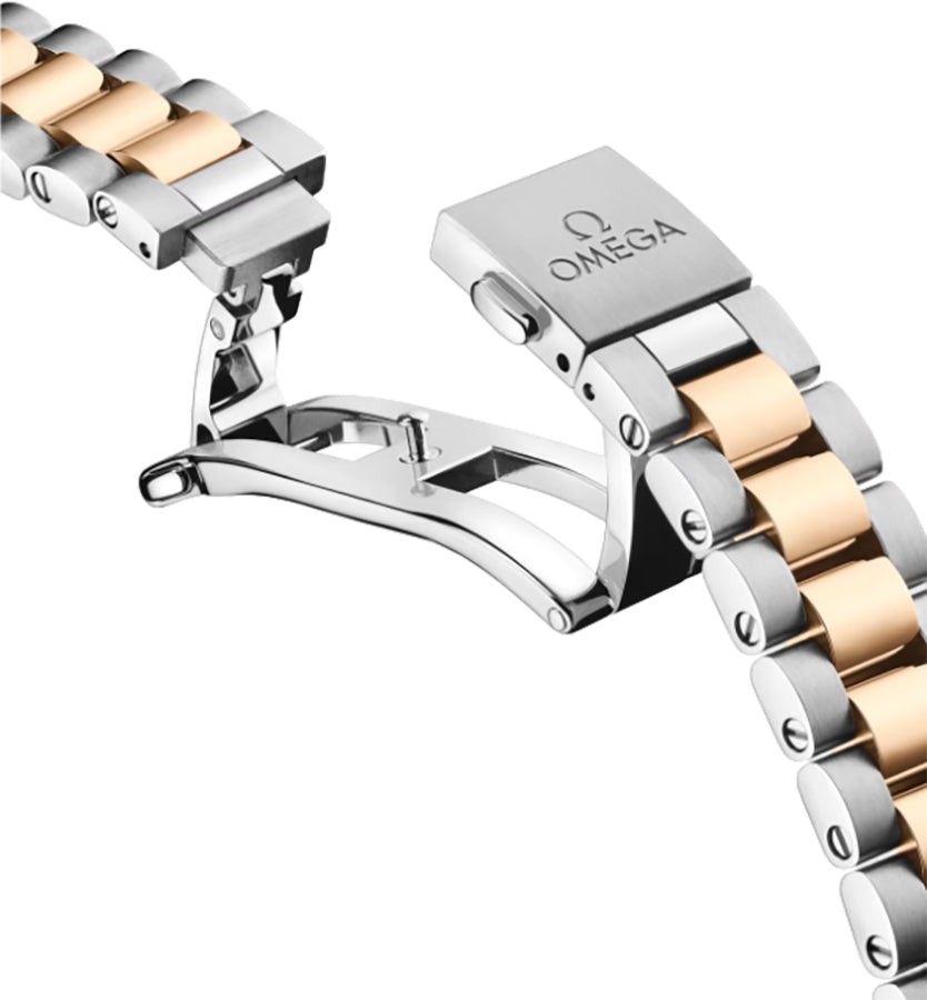 Omega Seamaster Aqua Terra Yellow Gold & Steel Men's Watch 220.20.41.21.01.001