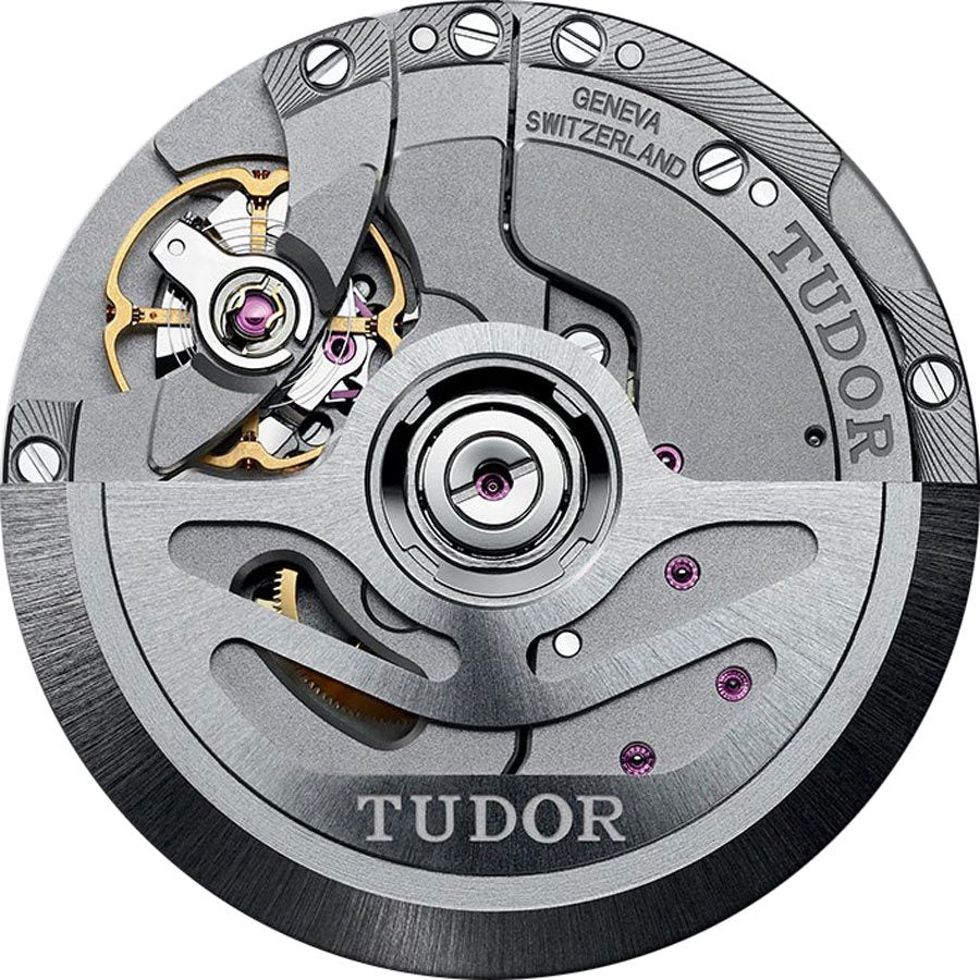 Tudor Heritage Black Bay M79230R-0010